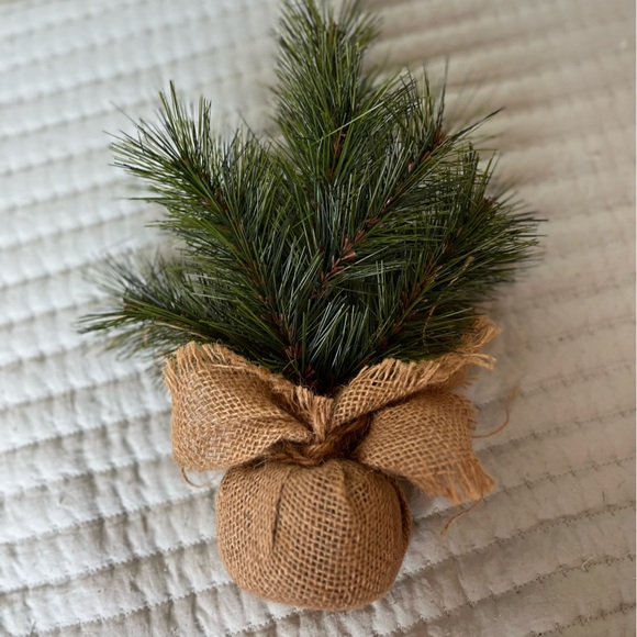 🧡 Tree Home Decor Farmhouse Plants Country BUNDLE DEALS - Picture 7 of 8